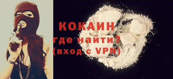 прущие грибы Кукмор
