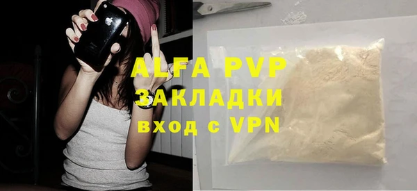 прущие грибы Кукмор