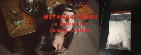 прущие грибы Кукмор