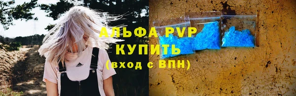 прущие грибы Кукмор