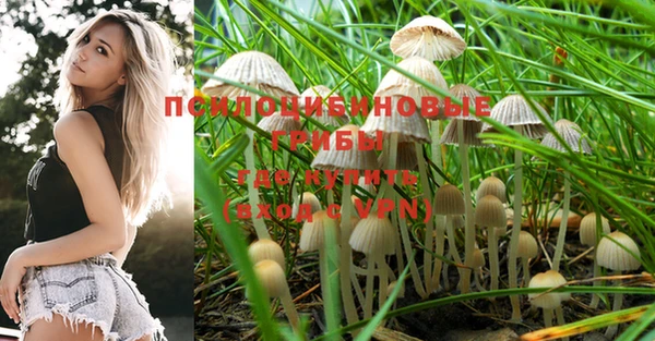 бошки Усолье-Сибирское