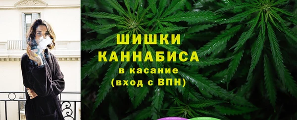 ГАЛЛЮЦИНОГЕННЫЕ ГРИБЫ Куйбышев